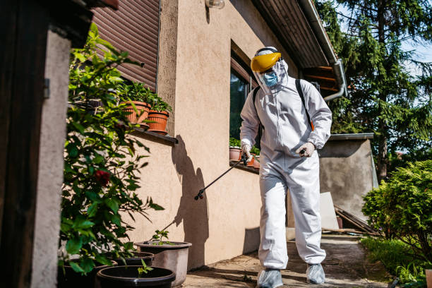 Best Flea Control Services  in Silver Lake, NC