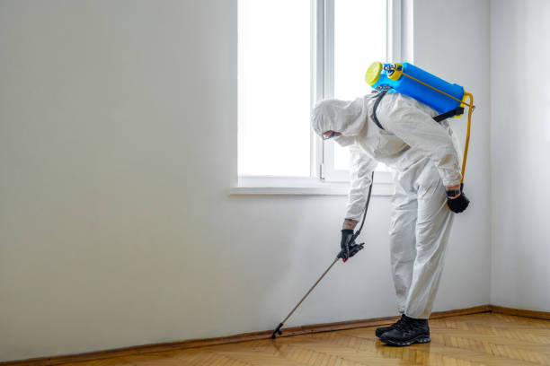 Best Affordable Pest Control Services  in Silver Lake, NC