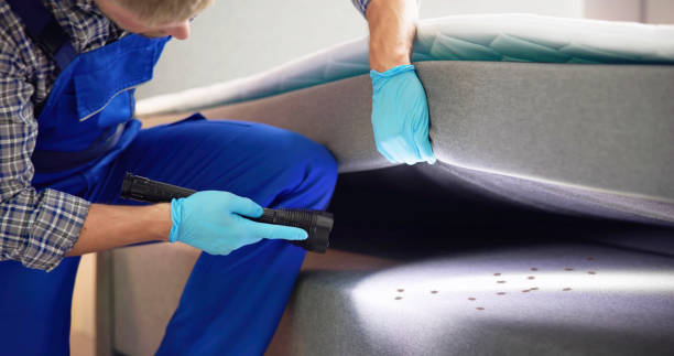 Best Local Pest Control Services  in Silver Lake, NC