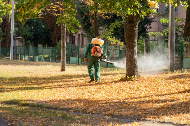 Best Local Pest Control Services  in Silver Lake, NC
