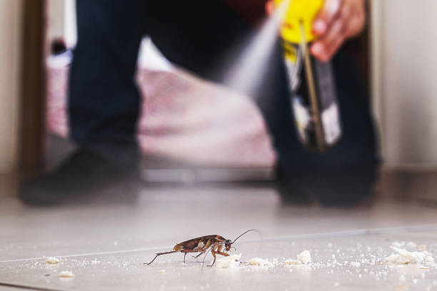 Best Pest Removal Services  in Silver Lake, NC